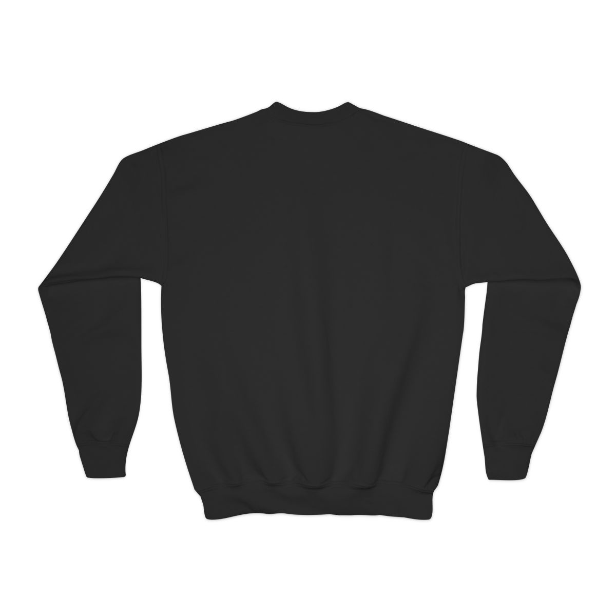 Caitlin and Leah "Caitlin & Leah" Kids Crewneck - alternate angle 1, merchandise